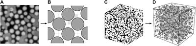 Fluid Meniscus Algorithms for Dynamic Pore-Network Modeling of Immiscible Two-Phase Flow in Porous Media